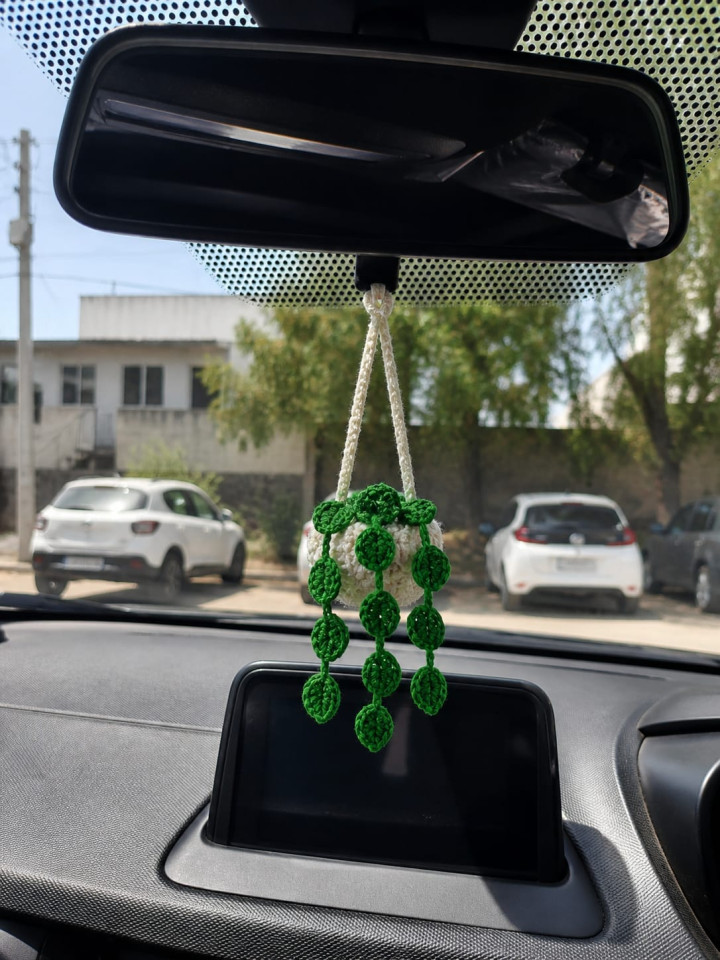 Car hanging 