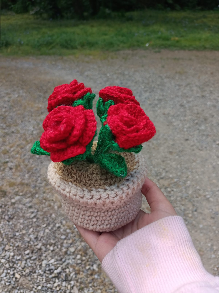 Rose flower pot 