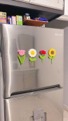 Fridge magnets 
